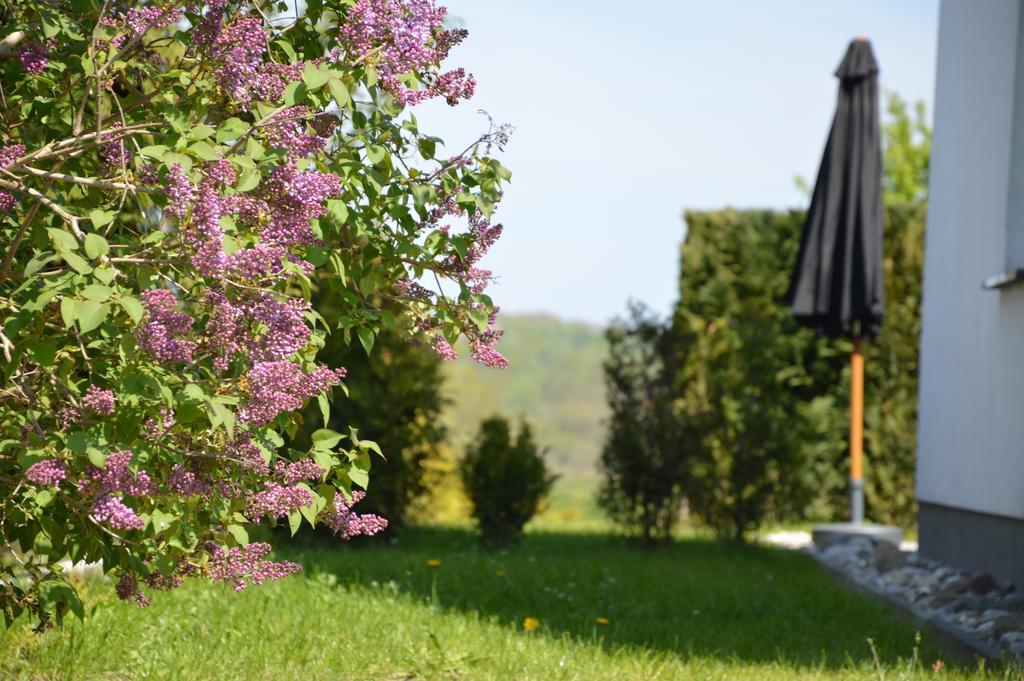 Ferienhaus Ruegen Pantow エクステリア 写真